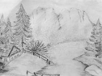 grafica (19)